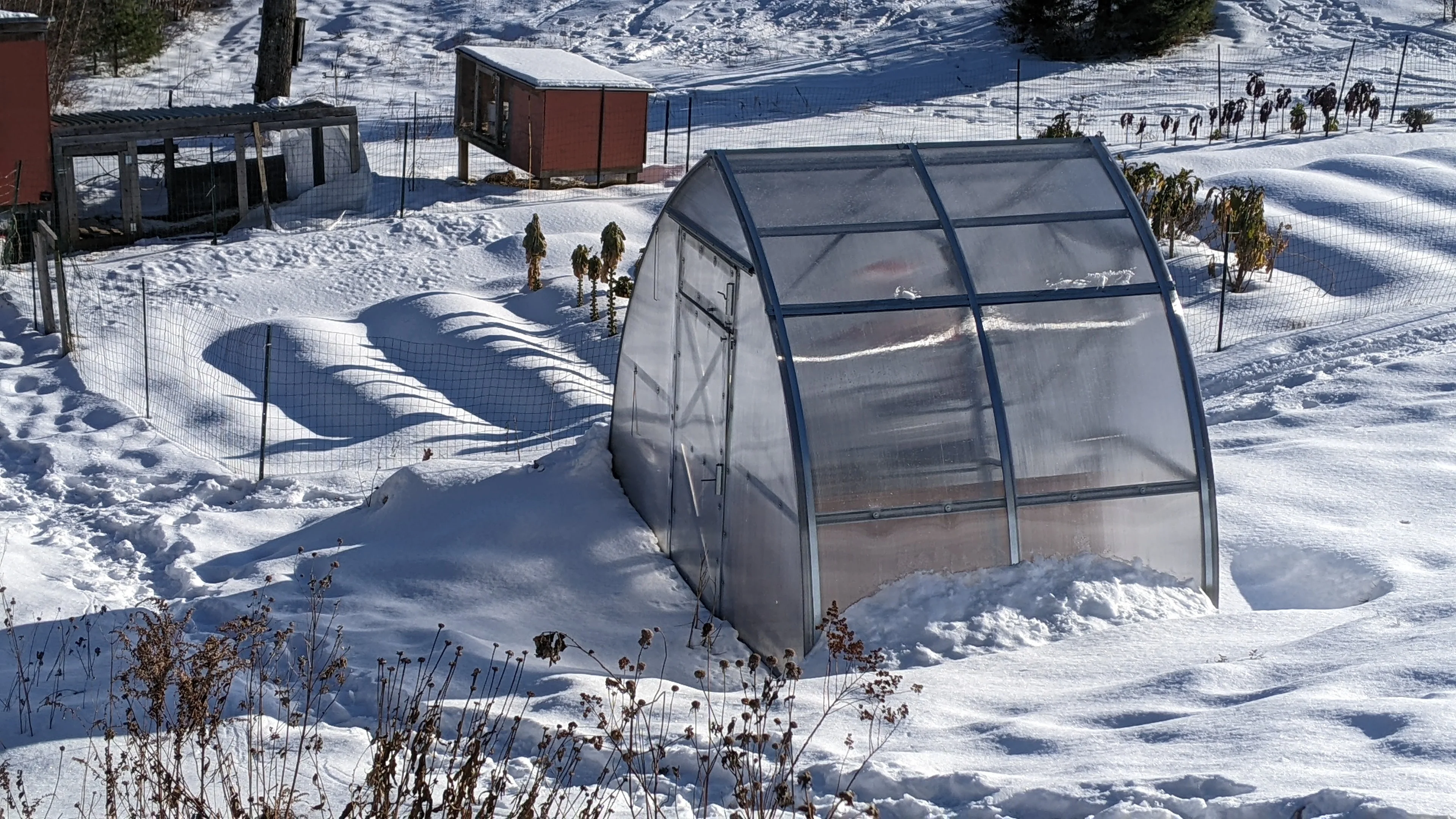 Sungrow Compact (Gen II) - Image 14