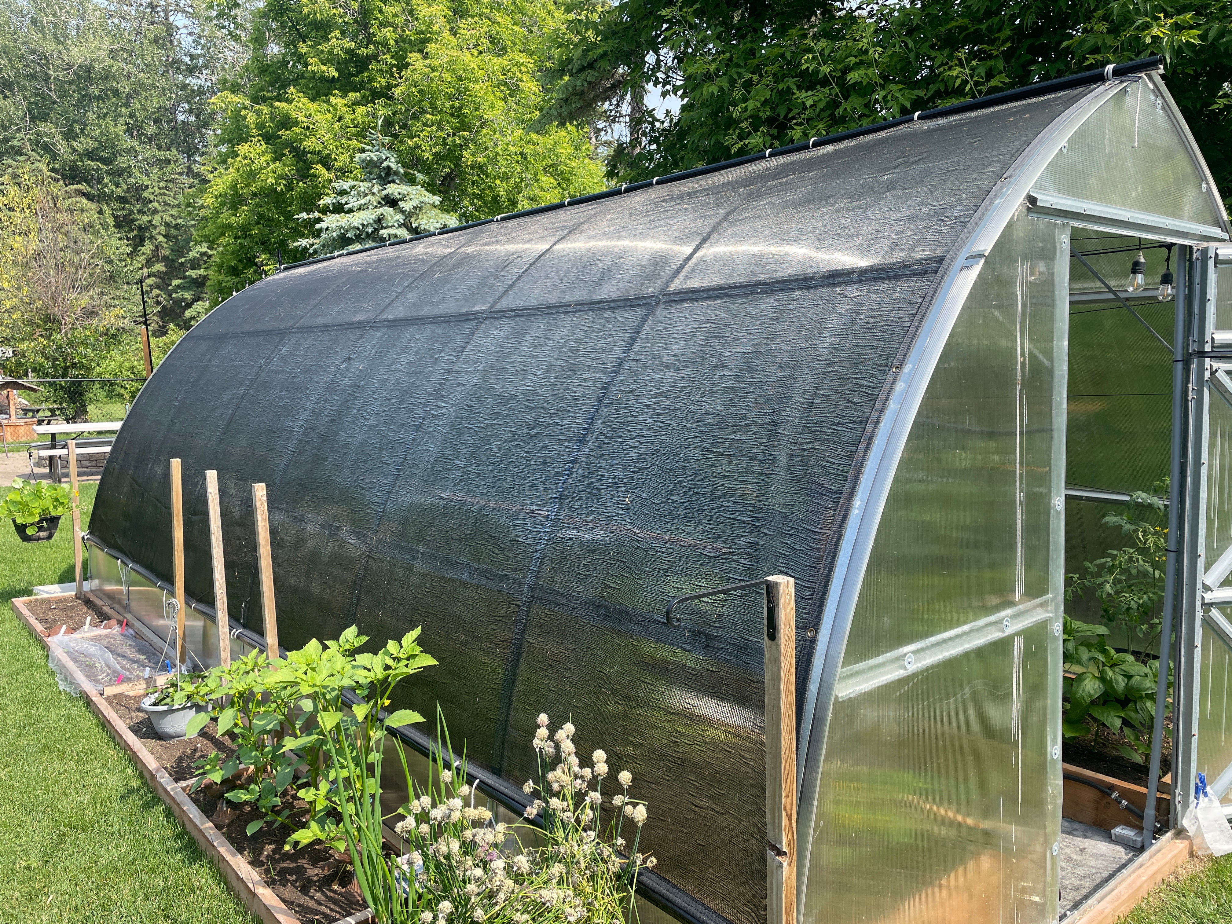 Sungrow 20 (Gen II) - Image 18