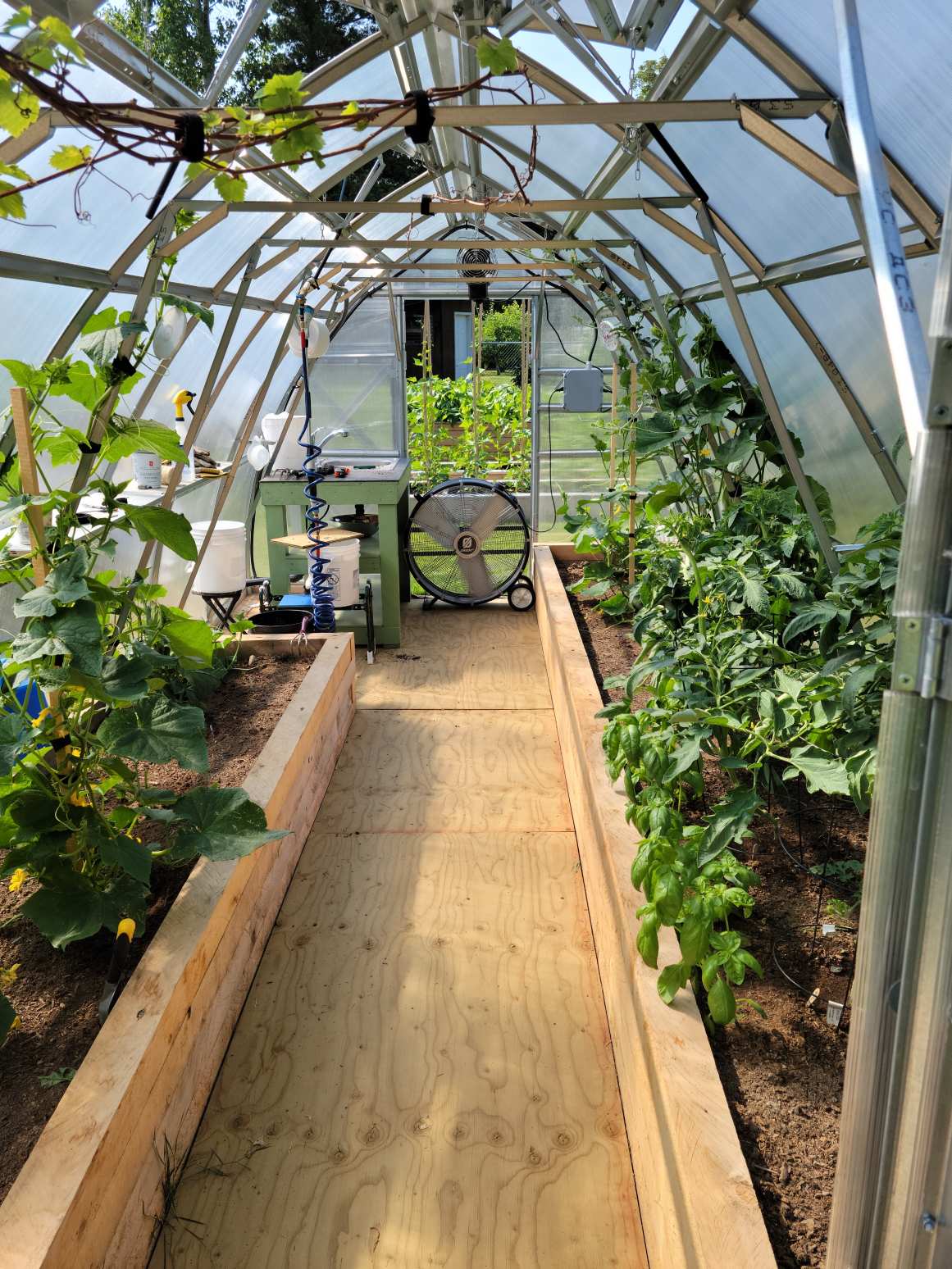 Sungrow 20 (Gen II) - Image 6