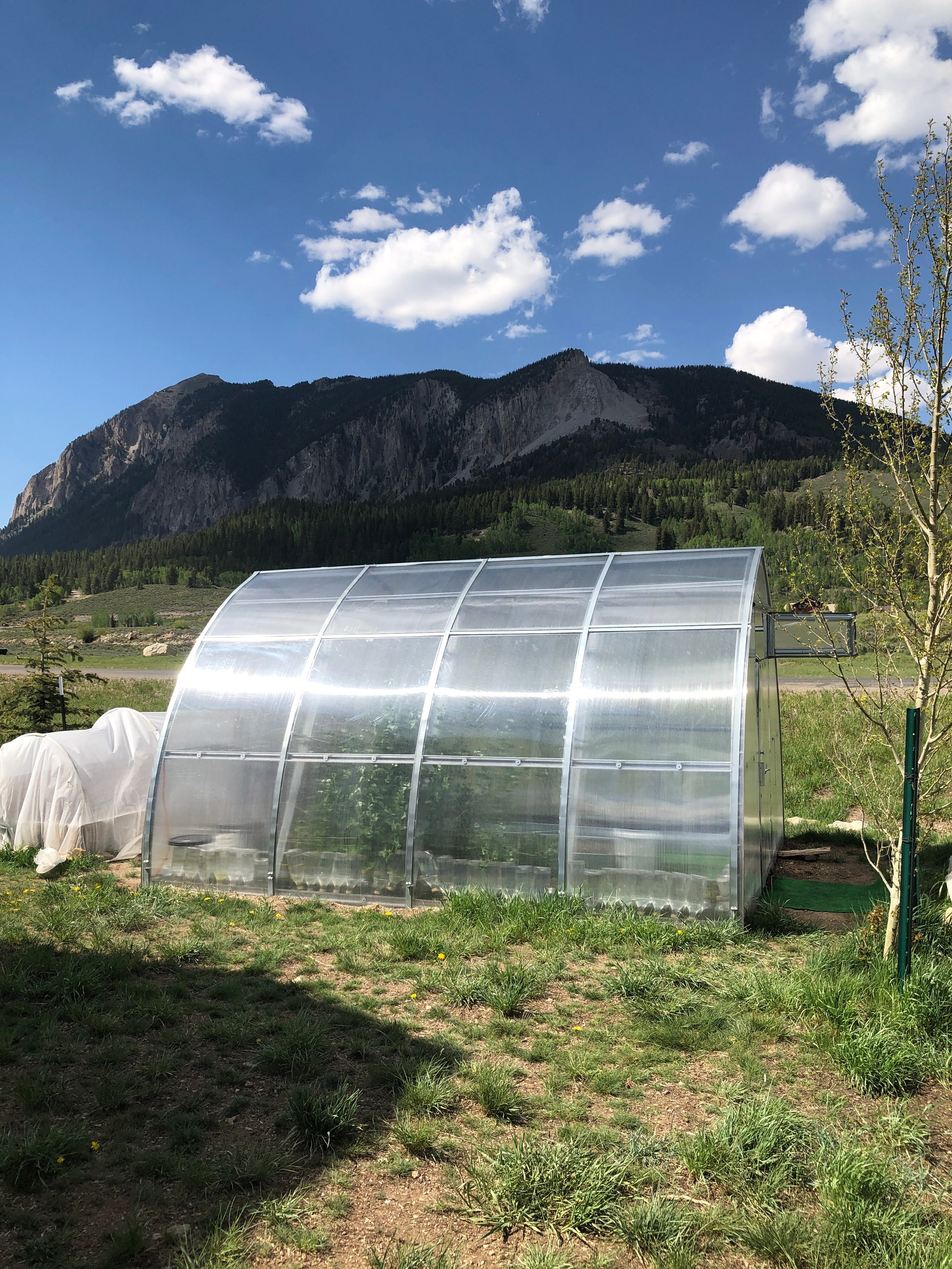 Sungrow Urban (Gen II) - Image 12